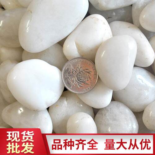 白色抛光鹅卵石天然装饰家装工程景观盆栽雨花石子石材碎石天然石