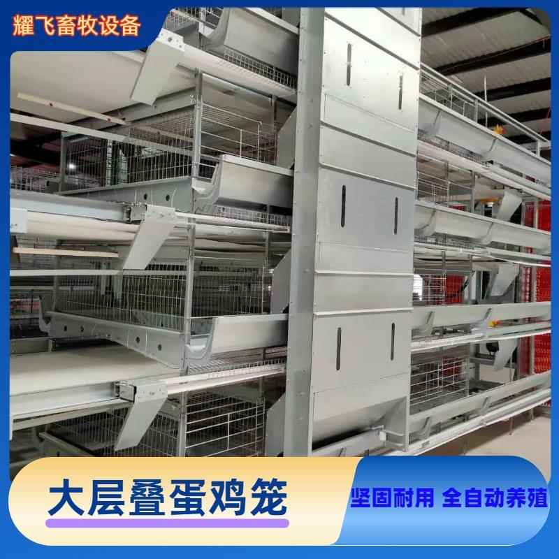 层叠式全自动蛋鸡笼养鸡设备自动化加密加粗大层叠蛋鸡笼