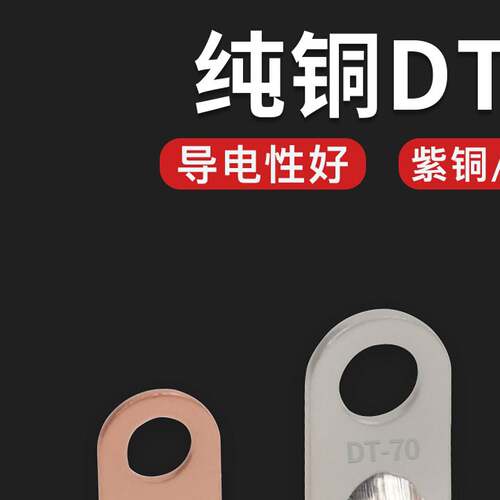 DT国标铜接线端子接线端子铜线鼻子镀锡堵油10/16/25/120平方铜线