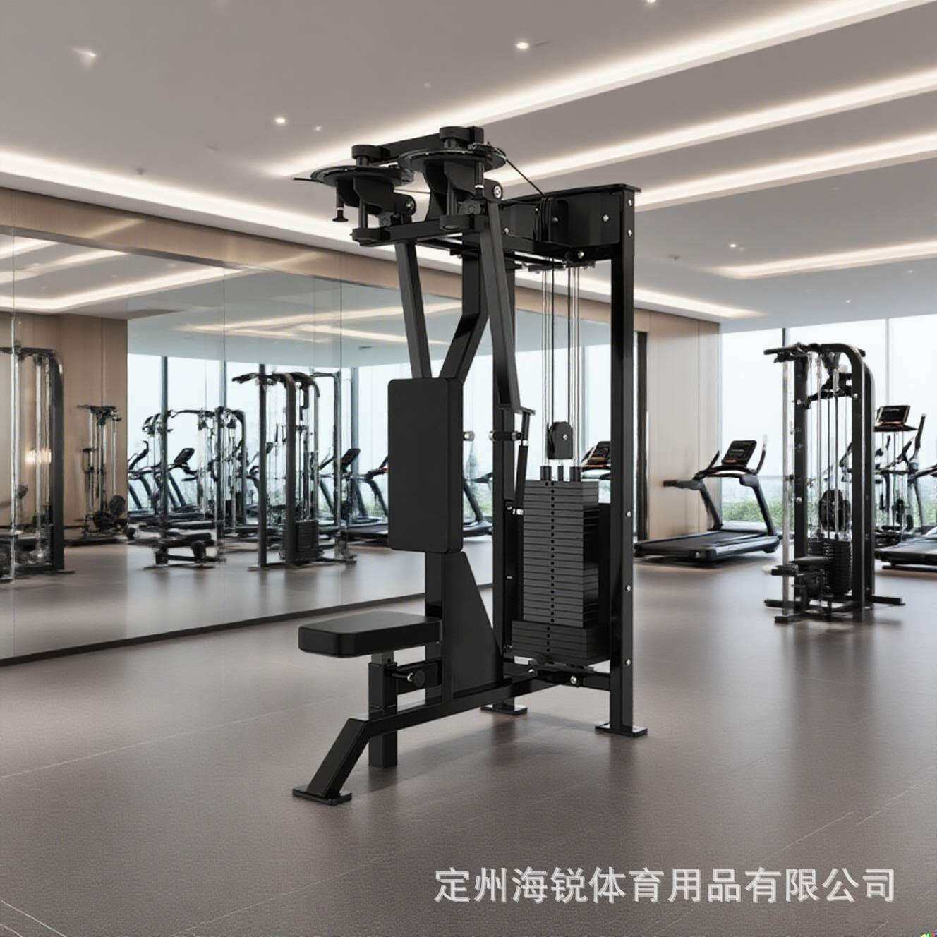 健身房坐式扩胸训练器直臂夹胸商用器材坐姿夹胸后三角肌训练器械