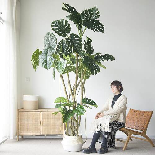仿真绿植大型巨型龟背树盆景植物高端装饰龟背竹落地摆件橱窗景观