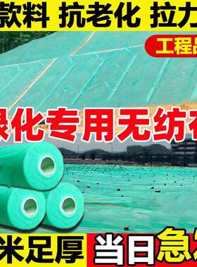 绿化无纺布园坡林FWA工地防尘盖籽土布护边坡坪草绿色膜防寒无草