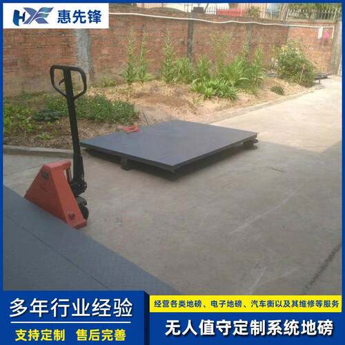 自动化系统小地磅带斜坡防爆小地磅0t小地磅制作地磅秤1-吨