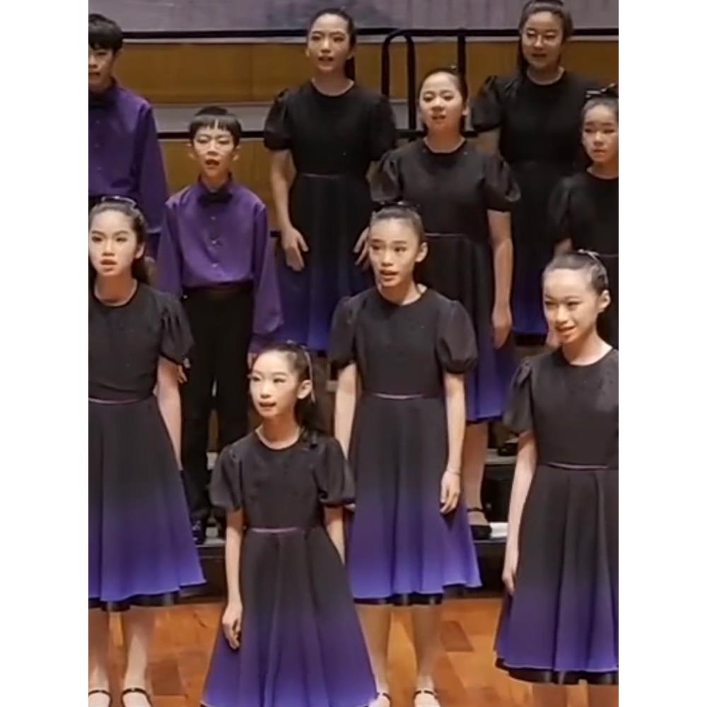 正品六一童合唱服装儿诵演出服男女童中礼服小学生表演朗纱裙大合