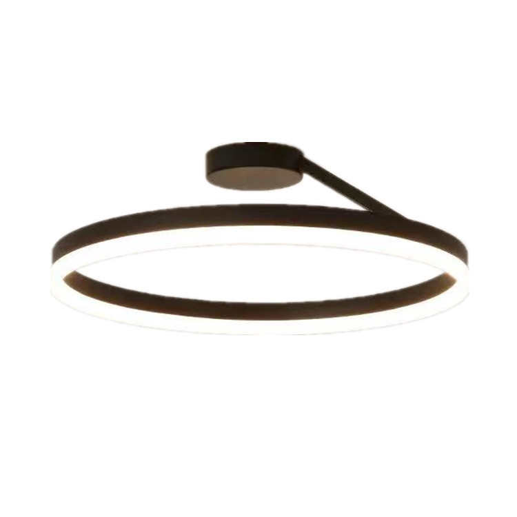 吸顶灯卧室灯现代简约2025新款个性设计圆形家用餐厅书房中山灯饰