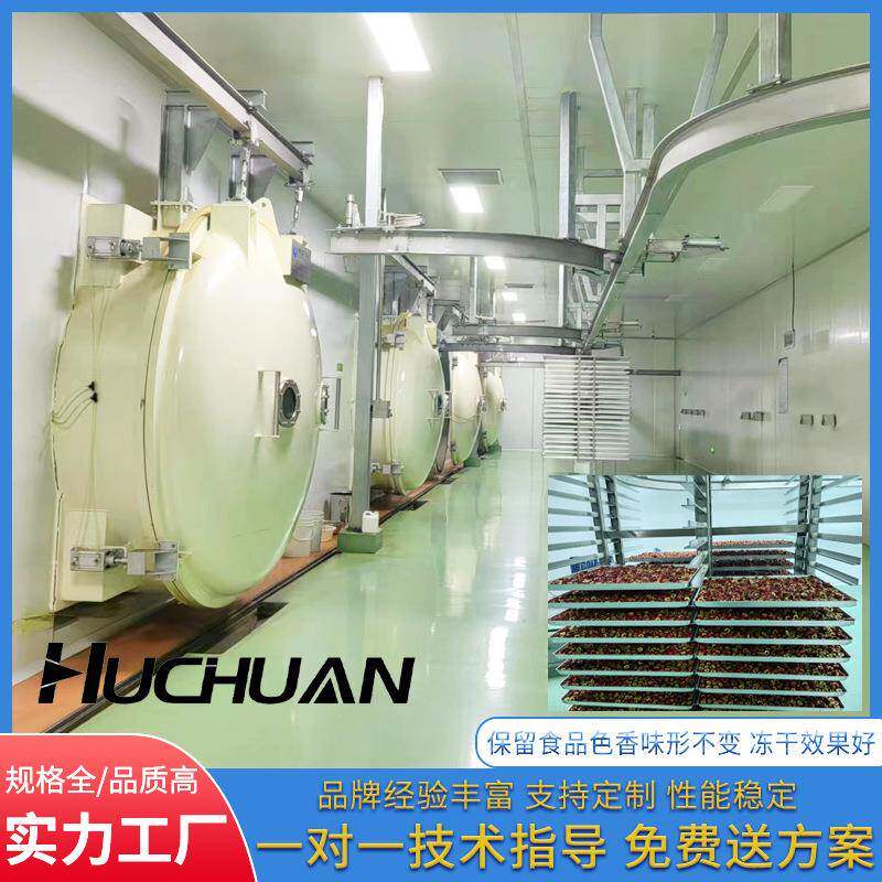 整颗草莓冻干机商用大型果蔬冷冻干燥成套设备山楂榴莲冻干机厂家