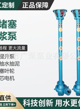 3PL 4PL立式长轴泥浆泵污泥污水提升泵半开式叶轮无堵塞