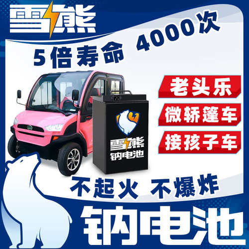 雪雄钠离子电池组平替48~72v锂电动篷车老头乐微轿接孩子三轮四轮