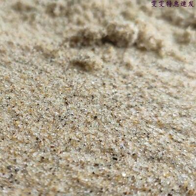 Natural sea sand 6 pounds of sand crab bottom sand seaside c