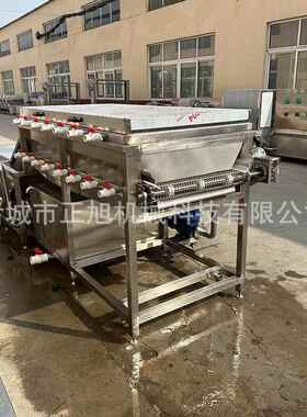 气厂家蔬洗XVZ机商用不锈钢喷淋洗果菜机清土豆去农残泡清洗机