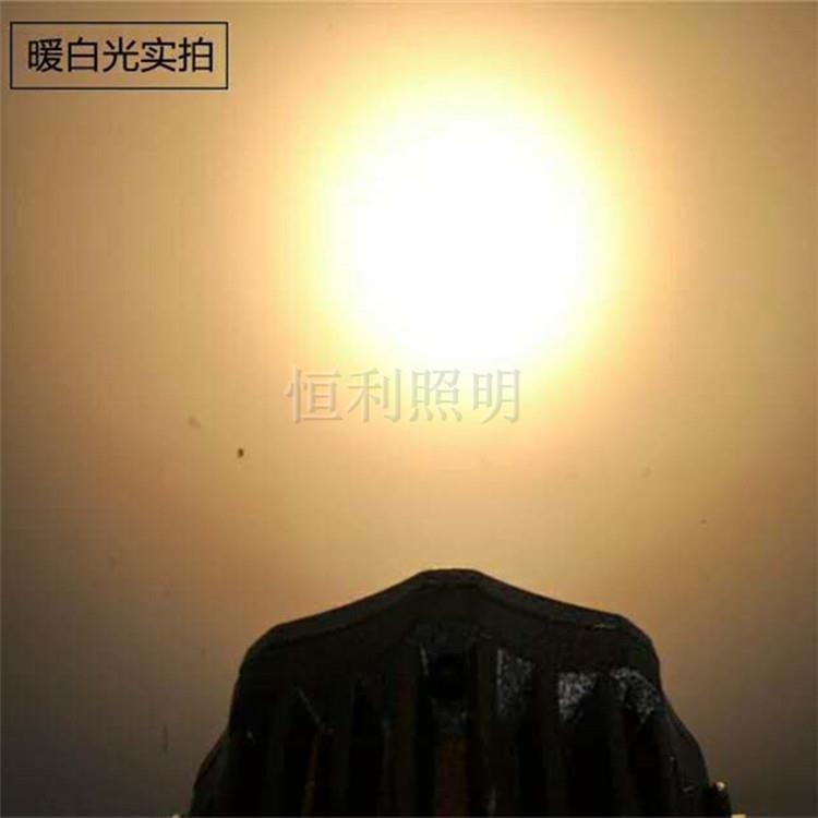 50W户外防水LED投射灯室外聚光远射灯公园园林射灯照树景观照明灯