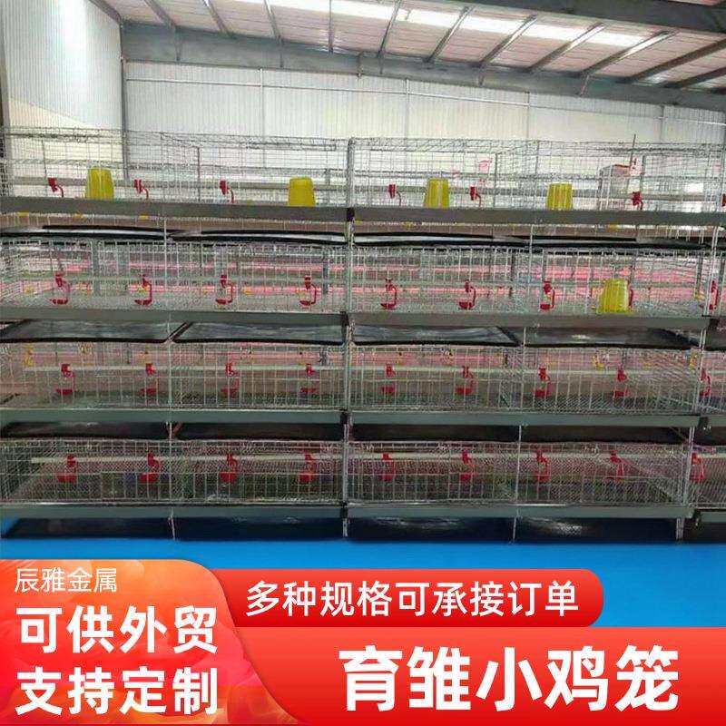育雏饲养笼立体育雏鸡笼子三四层养殖小鸡笼子鸡舍养殖设备鸡笼
