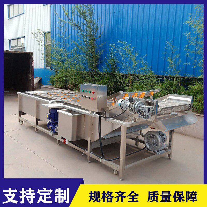 西红柿清洗漂烫设备 青椒清洗加工流水线 蔬菜气泡清洗除水线