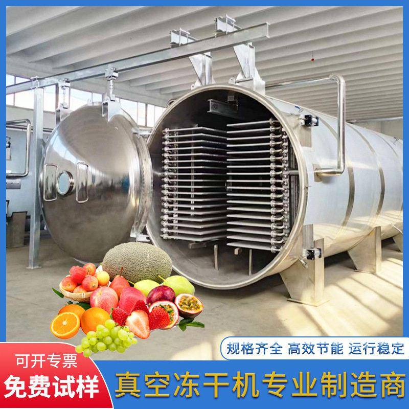 纳豆真空冷冻干燥机白芸豆豌豆四季豆脱水冻干设备欧芹FD冻干机