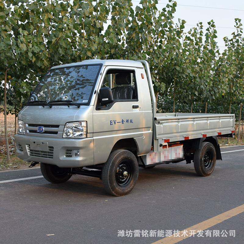 四轮电动货车家用双排电动拉货车多用途新能源电动车