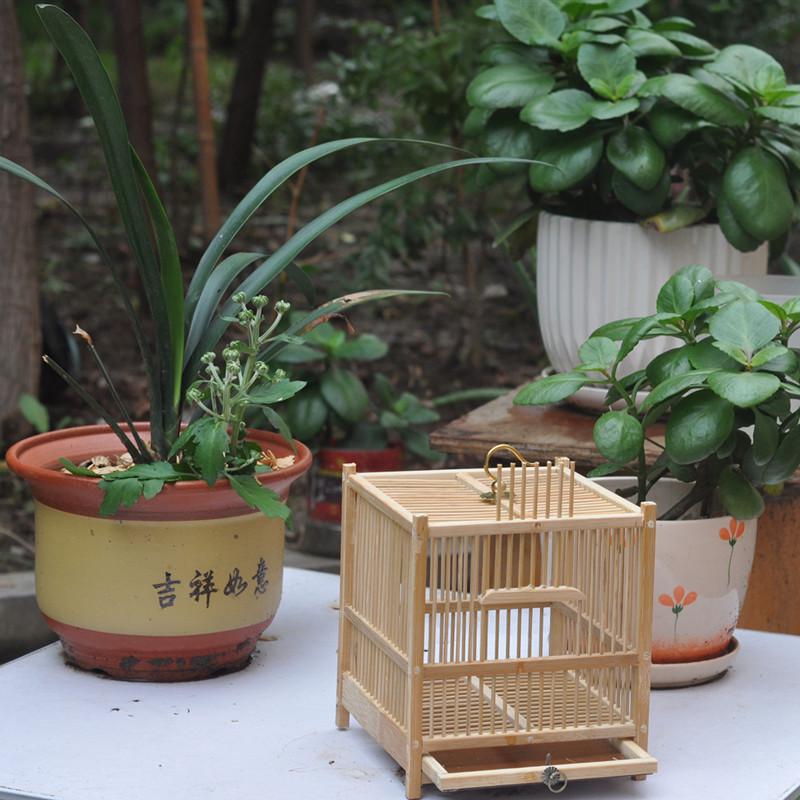 蝈蝈笼子厂超大空间带纯手工天然竹制笼鸣虫用具老人小孩礼品笼