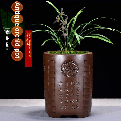 紫砂古色古香六角形兰花花盆，Clivia，客厅阳台花，绿色植物，透