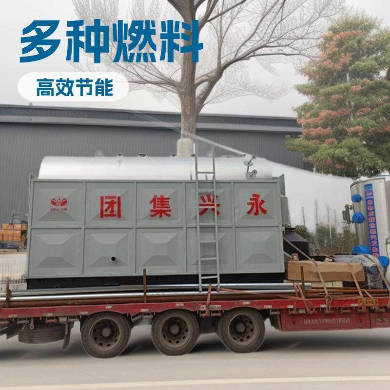 出口2吨4吨6吨燃木材生物质颗粒多种燃料燃煤蒸汽锅炉工业