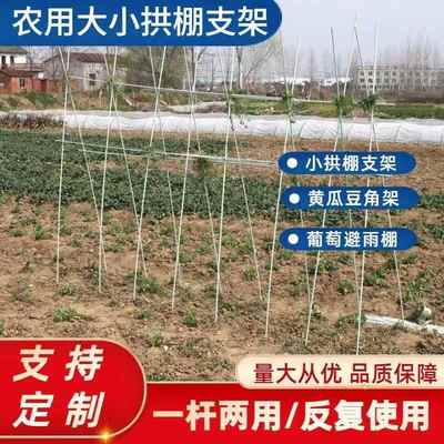 50根黄瓜爬藤架条豇豆角搭架杆子拱棚支架西红柿支撑杆玻璃纤维杆