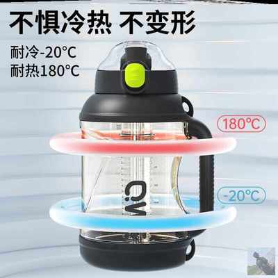 水杯大容量吨吨桶带茶仓耐高温健身运动水壶2000ml学生吸管杯