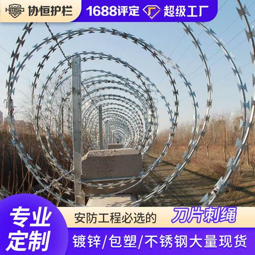 不锈带蒺藜防盗滚笼铁刺网园艺隔离围栏网刀片刺丝围栏镀锌加强