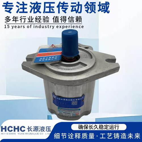 HCHC合肥齿轮泵CBF-F410/F412.5/F416/F418/F420/F425/F432-ALP L