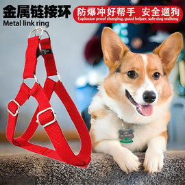 金属扣狗链柯基中小型犬拉布拉多，格力犬狗项圈背带狗狗绳牵引绳