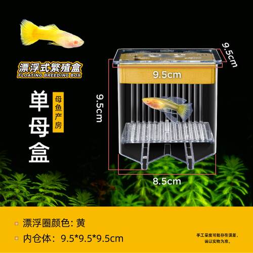 大号热带鱼鱼卵鱼缸隔离仓新款小号产房用水加厚保护乌龟苗功能
