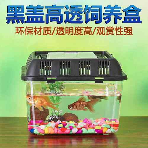 大型龟养殖箱黑色大中号饲养盒手提宠物盒乌龟缸透明爬宠盒M-