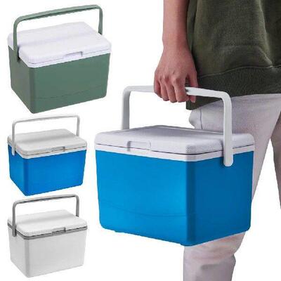 5L Insulated Portable Cooler with Handle Mini Freezer