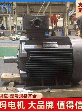 八级YR系列YR315S-855W低压三相异步电机电机厂双出轴