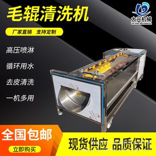 毛刷清洗机红薯去皮机土豆去皮清洗机芋头毛辊去皮清洗设备