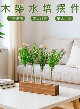 木架水培水培透明玻璃装饰摆件