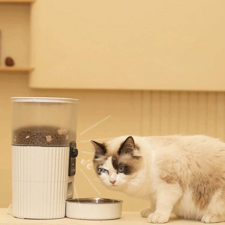 仙人GXA掌狗狗智碗能自动宠物食器狗喂碗猫盆食猫碗组合喂储粮桶