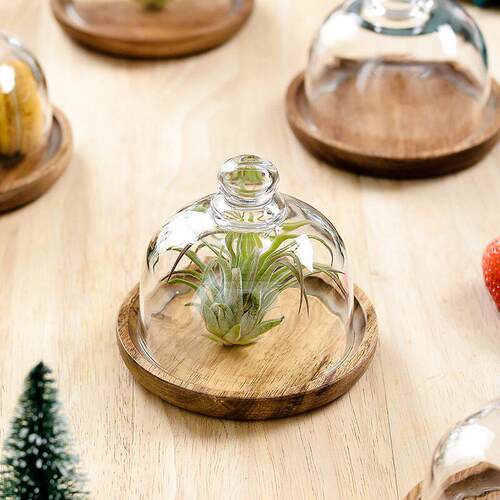 Hotel Dessert Display Set Mini Plates with Wood Glass Tray