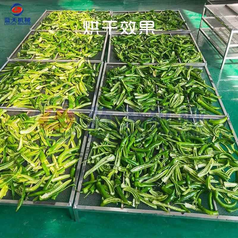 小型电加热青椒烘干机 甜椒菜椒烘干机 灯笼椒脱水烘干设备一体机