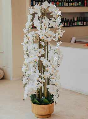 蝴蝶兰盆栽仿真花红色3d打印兰花客厅装饰大盆带花仿真假花厂家