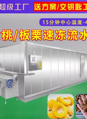 黄桃头速冻机流水线速冻加工设备商用隧道板栗预冷急冻