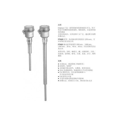 一体化音叉开关FTM20-4A45A德国E+H恩德斯豪斯