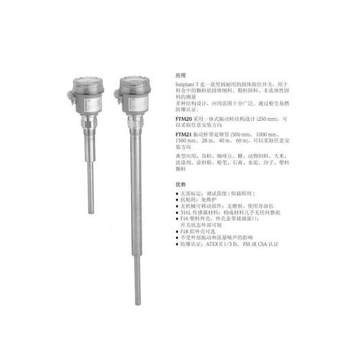 一体化音叉开关FTM20-4A45A德国E+H恩德斯豪斯