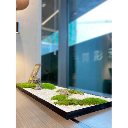 绿植装饰桌面摆件办公桌会议室长桌微景观客餐厅苔藓造景定制包邮