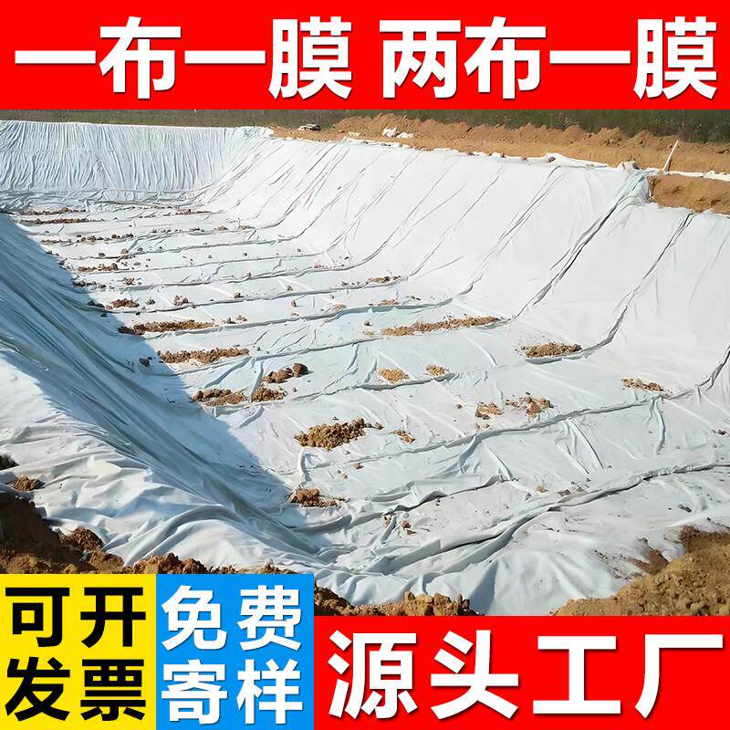 土工膜覆合防渗膜鱼池鱼塘蓄水池防水一布两布一膜护坡养殖覆合膜