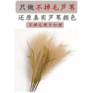 北欧INS网红花芦苇假花轻奢家居装饰餐桌花瓶摆件毛绒花蒲云