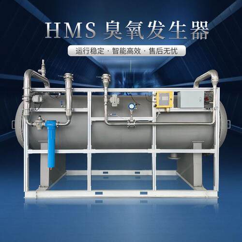 有色金属金矿锂矿矿业冶炼废水臭氧发生器 降COD除杂处理设备