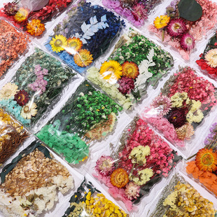 品质固定干花diy材料包 袋装干花 永生花团扇相框香薰蜡烛花环