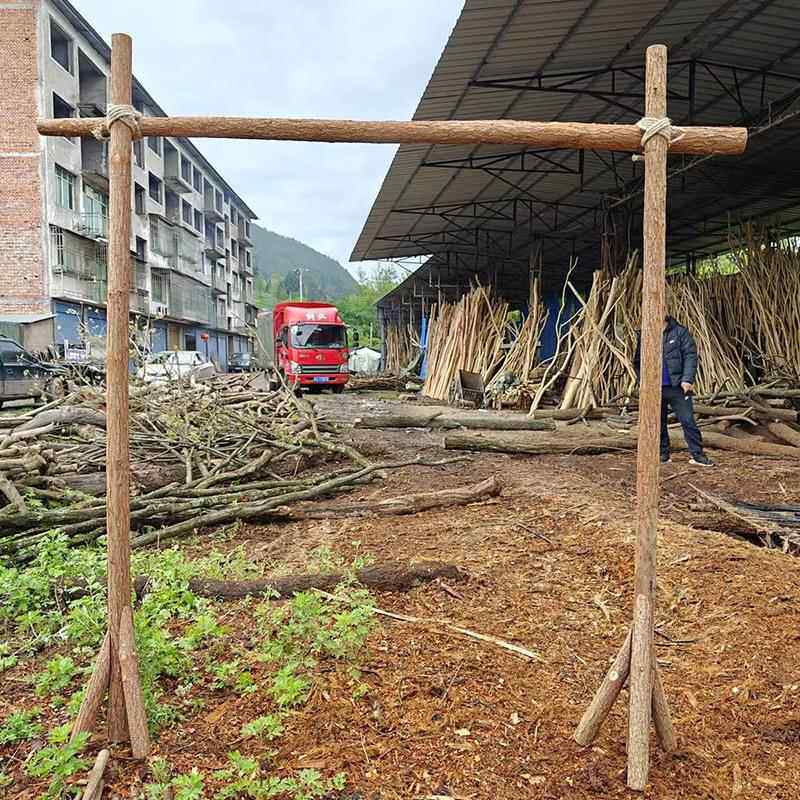 3EW1系户外YRG草坪婚森门礼拱门架子香杉木桩花架原木树枝田园木