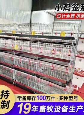 热镀锌育雏鸡笼保温防逃家用养殖场小鸡苗用养殖笼雏鸡脱温笼