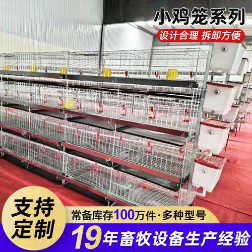 热镀锌育雏鸡笼保温防逃家用养殖场小鸡苗用养殖笼雏鸡脱温笼