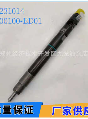 28231014喷油器 1100100-ED01适用德尔福 长城风骏H5 H6