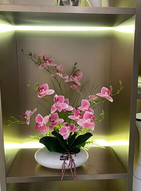手感PU蝴蝶兰花仿真花艺陶瓷摆件客厅餐桌花摆花电视柜装饰花假花